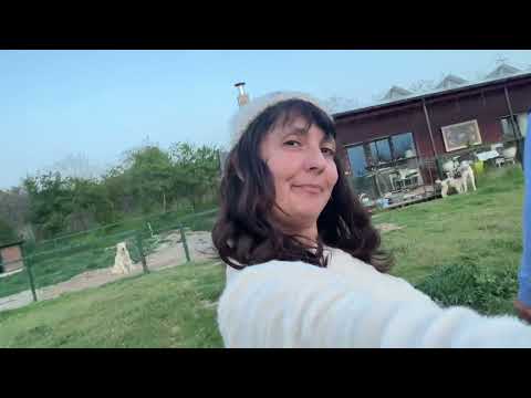Видео: Алабаите - Най-добрите Кучета Пазачи на Стадото и Дома. Централноазиатски Овчарки с Жельо и Цеци