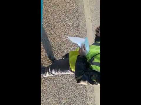 Видео: Платон. Транспортник. М7 Дзержинск.