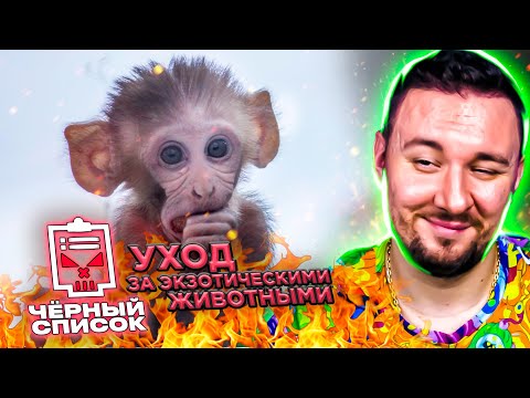 Видео: Чёрный список ► Уход за экзотическими животными