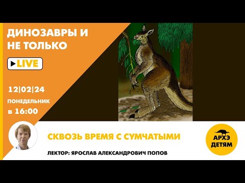 Видео: Занятие "Сквозь время с сумчатыми" кружка "Динозавры и не только" с Ярославом Поповым