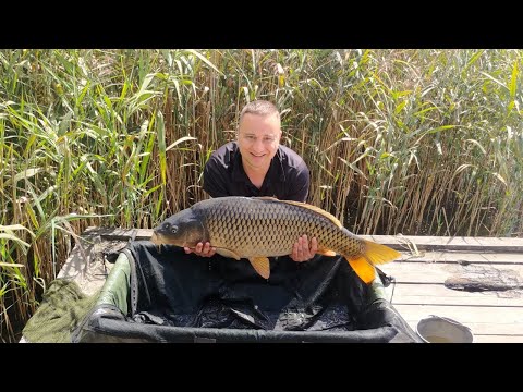 Видео: Перша дводенна риболовля: Рекордний короп на озері Глорія