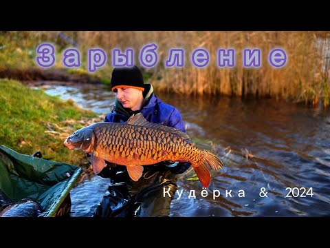 Видео: Зарыбление 2024 (Подготовка к 2025 году)