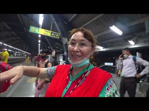 Видео: 285. Уговариваю Альбину открыть канал. 20 лет замужем за индийцем. Русская жена. Дели 2022. Котята.