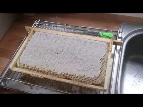 Видео: Пчеловодство в Англии. Сотовый мёд.