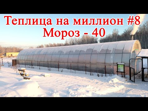 Видео: Теплица на миллион #8 Мороз - 40.