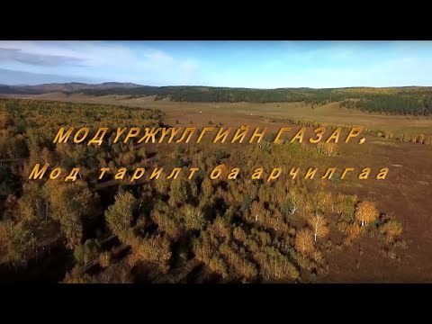Видео: 3 МОД ҮРЖҮҮЛГИЙН ГАЗАР