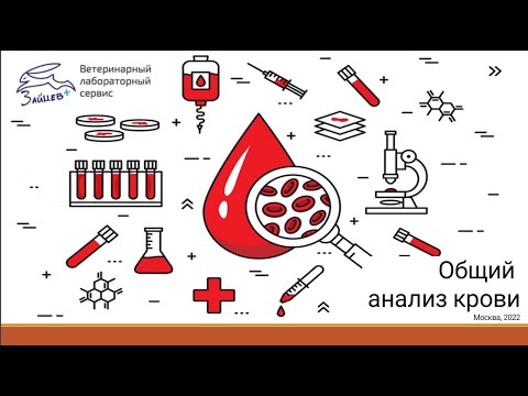 Видео: Общий клинический анализ крови. Лекция для студентов Ивановской сельскохозяйственной академии.