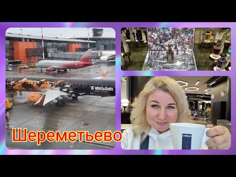 Видео: Аэропорт Шереметьево, Терминал С Дьюти Фри, Перепробовали все ароматы, Улетаем в Турцию❗Лена и Ваня