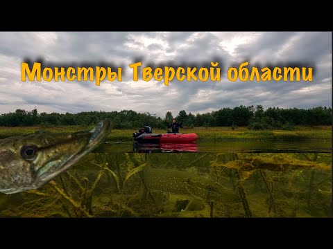 Видео: Подводная охота. Малые реки Тверской области.