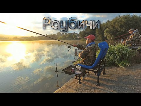 Видео: Рыбалка в Раубичах.Дамба кишит рыбой.Фидер в темпе