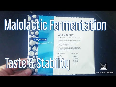 Видео: Малолактическая ферментация. Виноделие 29