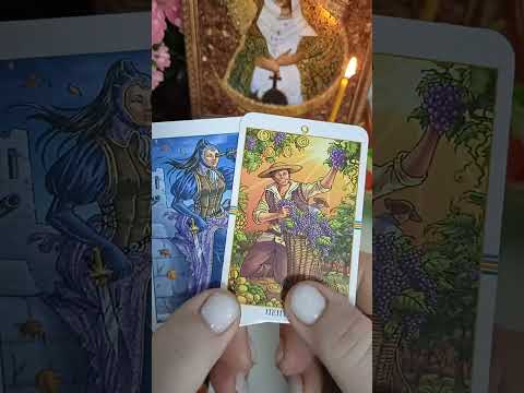 Видео: ВАШИ ВРАГИ СЛОМАЛИ ЯЗЫКИ 😱😱😱+79109877209 смс