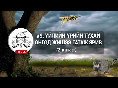 Видео: FACEBOOK LIVE #9. Үйлийн үрийн тухай 2-р хэсэг