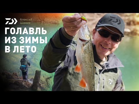 Видео: ГОЛАВЛЬ ИЗ ЗИМЫ В ЛЕТО x АЛЕКСЕЙ ШАНИН