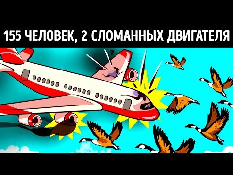 Видео: Чудо, которое спасло 155 человек, когда птицы разрушили двигатели самолета