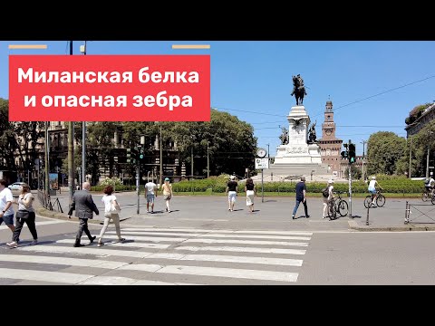 Видео: Миланская белочка, покупка штанов, миланский кремль и опасная зебра. 5 серия.