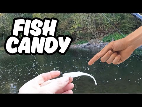 Видео: Эта приманка меняет правила игры! (Осенняя рыбалка)