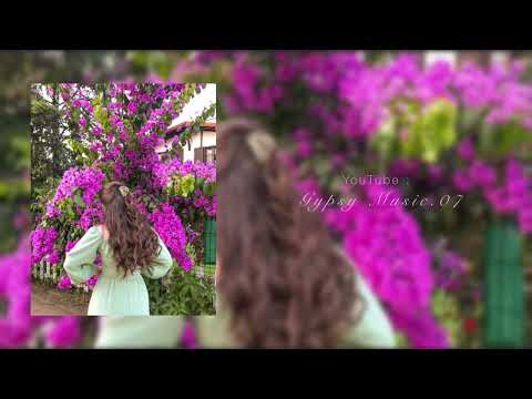 Видео: Новая цыганская песня «Амари си э бори» 2025 🔥 цыганская частушка 2025 