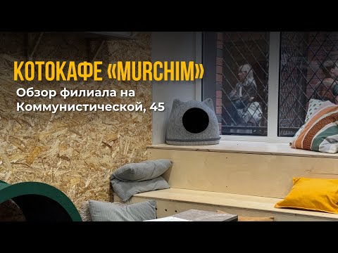 Видео: Котокафе «MURCHIM» в Новосибирске, обзор филиала на Коммунистической, 45