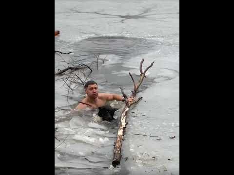 Видео: 🐶СПАСИ МЕНЯ! РУССКИЙ ЧЕЛОВЕК СПАСАЕТ ТОНУЩУЮ СОБАКУ! | RESCUE ME! | #dogs #pets #собака