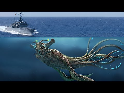 Видео: Самые Гигантские Существа, Которых Обнаружили в Глубинах Океана