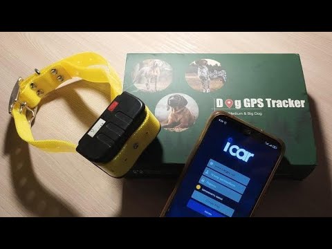 Видео: DOG GPS Tracker IK122 (ICAR). Обзор и тест. Достойный аппарат