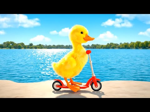 Видео: Утка катается на самокате вокруг озера 🛴
