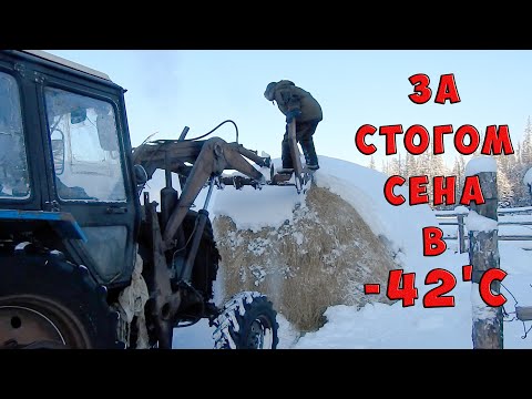 Видео: Едем за стогом сена, на тракторе в -42'С