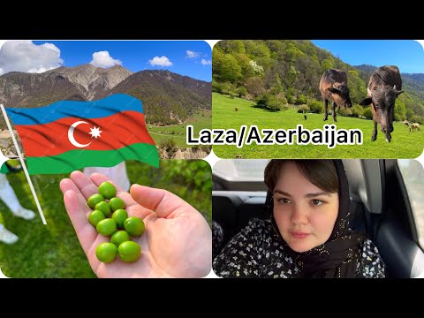 Видео: Laza Azerbaijan/Nohurgol/ Лаза Азербайджан/идем в гости /Озеро в Габале