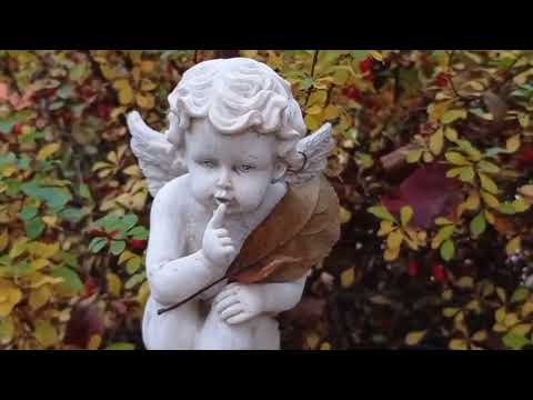 Видео: ЖЕНЩИНА И ОСЕНЬ  Осенняя элегия