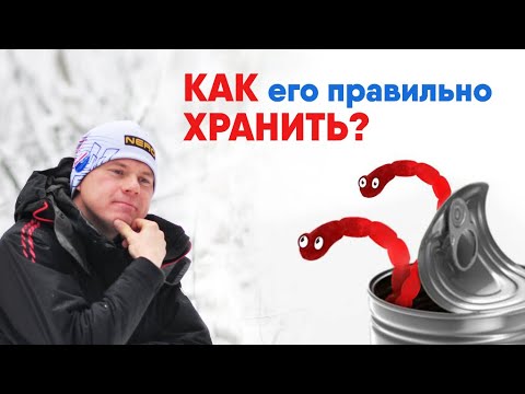 Видео: ОЧЕНЬ ПРОСТО! КАК правильно ХРАНИТЬ МОТЫЛЯ до, во время, и после рыбалки.