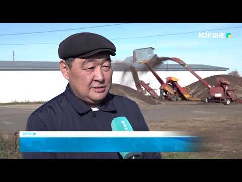 Видео: KOKSHE AQPARAT | Жаңалықтар - 10.10.2025