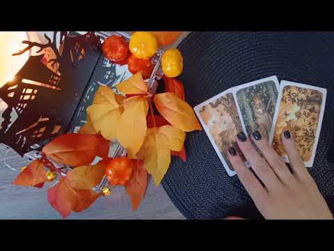 Видео: Коя ще избере?