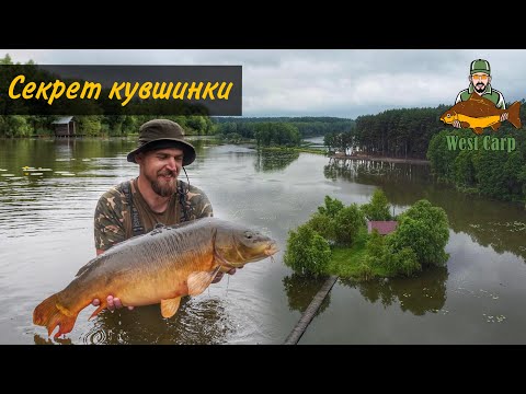 Видео: Трофейний короп на казковій водоймі!Карпфішинг в Англійському стилі поміж кувшинки!