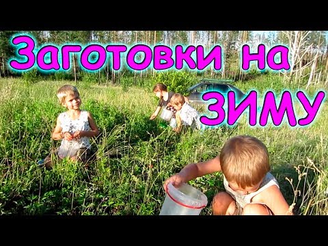 Видео: Заготовки 2017 - важные покупки, сушим, морозим, собираем. (07.17г.) Семья Бровченко.