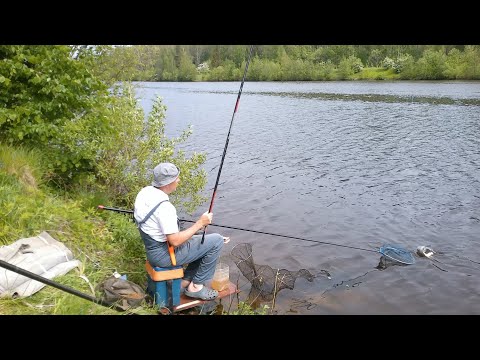 Видео: Канал им. Москвы, май 2025