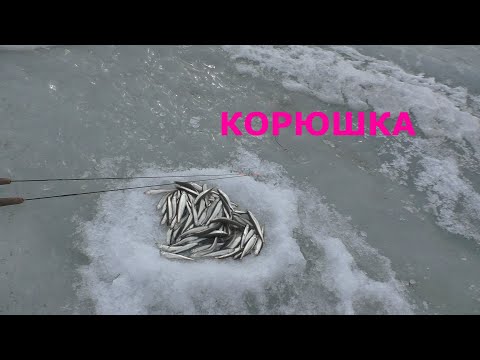 Видео: КОРЮШКА НА МАХАЛКИ!! КАК ИЗ БОЧКИ!!