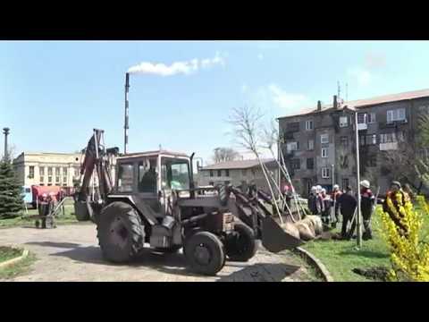 Видео: Работники металлургического завода высадили 130 деревьев и кустов 720p