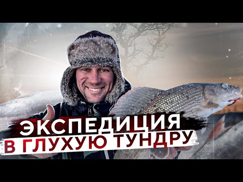 Видео: ЗИМНЯЯ ТАЙГА и ТУНДРА АРХАНГЕЛЬСКОЙ области! Снегоходная экспедиция. РЫБАЛКА на крайнем севере Ч.1