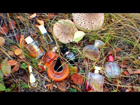 Видео: Мои ароматы октября 🌾🍎🌾 Новая заря, Брокар, Oriflame, Dillis, Corialys, Guy Alari и т.д.