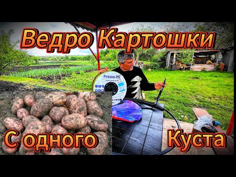 Видео: Экспериментальная система капельного полива — дешевле, проще, эффективнее!