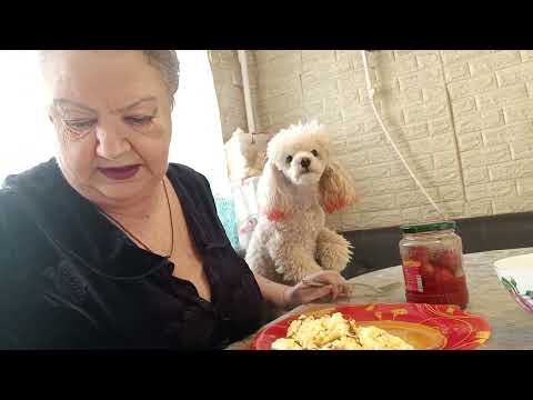 Видео: Всем терпения и добра.