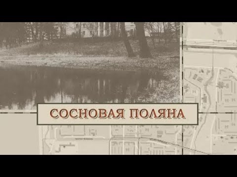 Видео: Сосновая поляна / «Малые родины большого Петербурга»