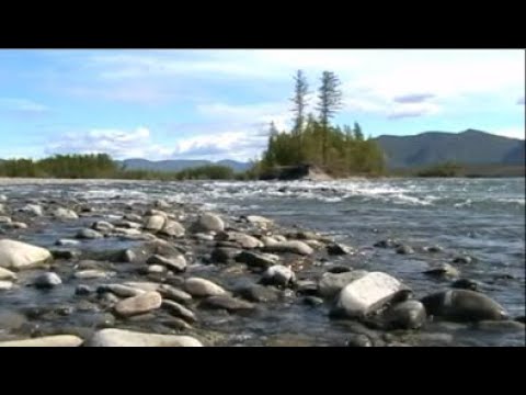 Видео: Келе 2010