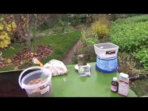 Видео: Природное земледелие и борьба со слизнями.