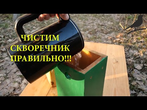 Видео: Нужно ли чистить скворечник