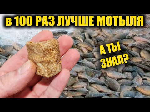 Видео: 5 минут и 30кг рыбы! От неё дуреет вся рыба! Супер рыболовная насадка для карася и карпа