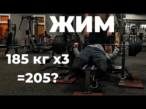 Видео: Жим 185×3 (≈205 кг) | Новый цикл тренировок по системе Шейко | Пауэрлифтинг