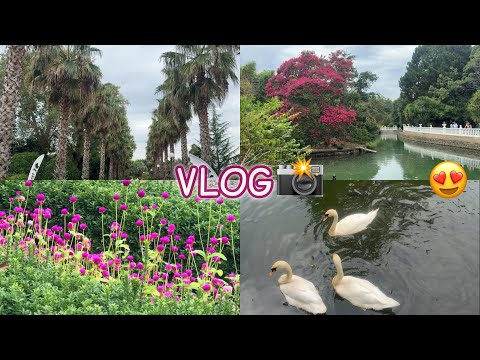 Видео: VLOG:ГДЕ ПОГУЛЯТЬ В АДЛЕРЕ?ПАРК ЮЖНЫЕ КУЛЬТУРЫ, СЕНТЯБРЬ 2025