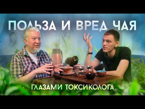 Видео: Польза и вред чая | Интервью